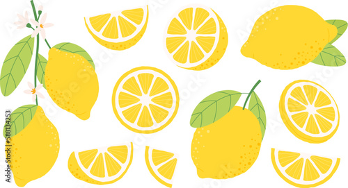 Isolated lemon fruits, different citrus half and slices. Yellow fruit for lemonade, cartoon fresh and organic juicy raw ingredients racy vector set