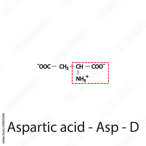 Aspartic acid - Asp - D amino acid structure. Skeletal formula with amino group highlighted in  red frame. Scientific illustration.