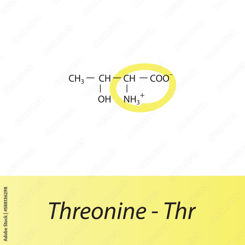 Grafika wektorowa Stock: Threonine - Thr - T amino acid structure ...