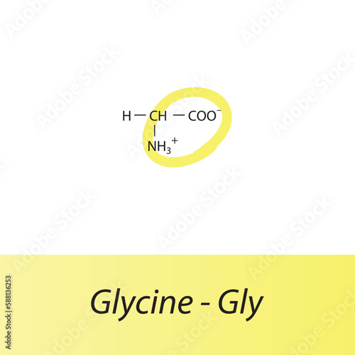 Glycine - Gly - G amino acid structure. Skeletal formula with amino group highlighted in  yellow marker. Scientific illustration.