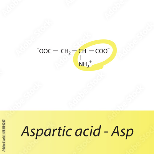 Aspartic acid - Asp - D amino acid structure. Skeletal formula with amino group highlighted in  yellow marker. Scientific illustration.