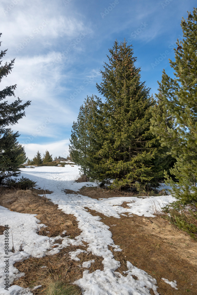 Winter landscape of Vitosha Mountain, Bulgaria Winter landscape of Vitosha Mountain, Bulgaria