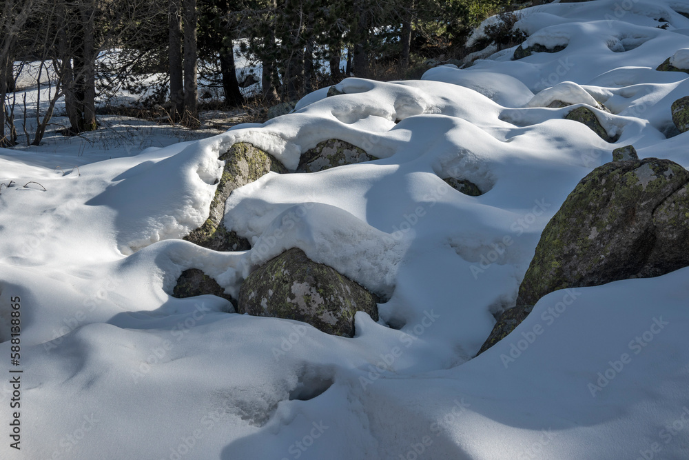 Fototapeta premium Winter landscape of Vitosha Mountain, Bulgaria