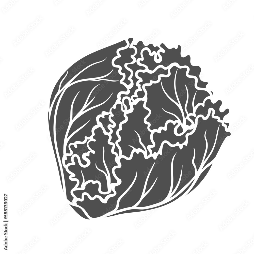 Iceberg lettuce glyph icon vector illustration. Stamp of leafy vegetable head for cooking garnish and sandwich, natural organic plant with crunchy texture, raw iceberg for healthy veggie salad Iceberg lettuce glyph icon vector illustration. Stamp of leafy vegetable head for cooking garnish and sandwich, natural organic plant with crunchy texture, raw iceberg for healthy veggie salad