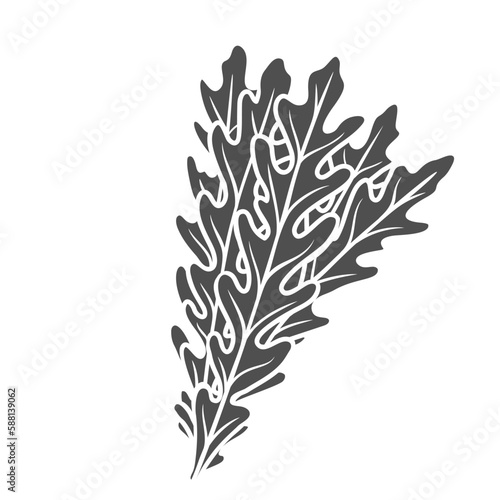 Arugula glyph icon vector illustration. Stamp of rocket herb leaf, rucola bunch with leaves and leafy vegetable for cooking salad, summer organic fresh plant heap from farm garden, natural arugula