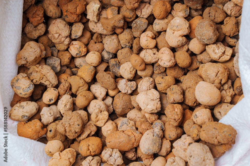 Expanded clay. small lumps of clay used in construction and for growing plants. Expanded clay. small lumps of clay used in construction and for growing plants.