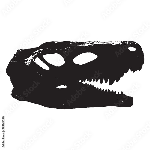 Vector dinosaur skeleton skull on white background, paleontological