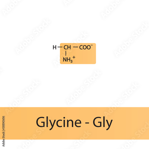 Glycine - Gly - G amino acid structure. Skeletal formula with amino group highlighted in  orange. Scientific illustration.