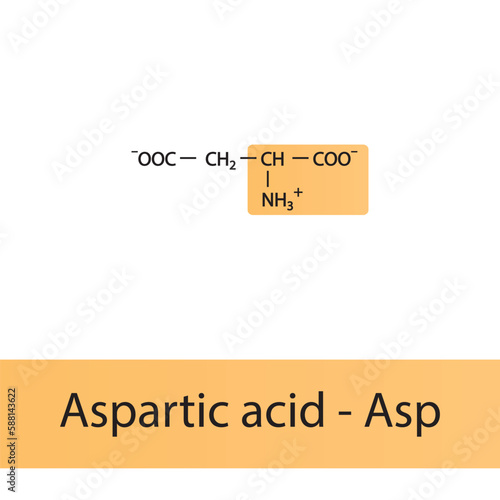 Aspartic acid - Asp - D amino acid structure. Skeletal formula with amino group highlighted in  orange. Scientific illustration.