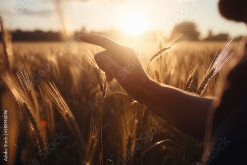 Closeup of a farmer's hand touching the top of a wheat stalk, while sun rays are breaking through the sunset in the background Generative AI