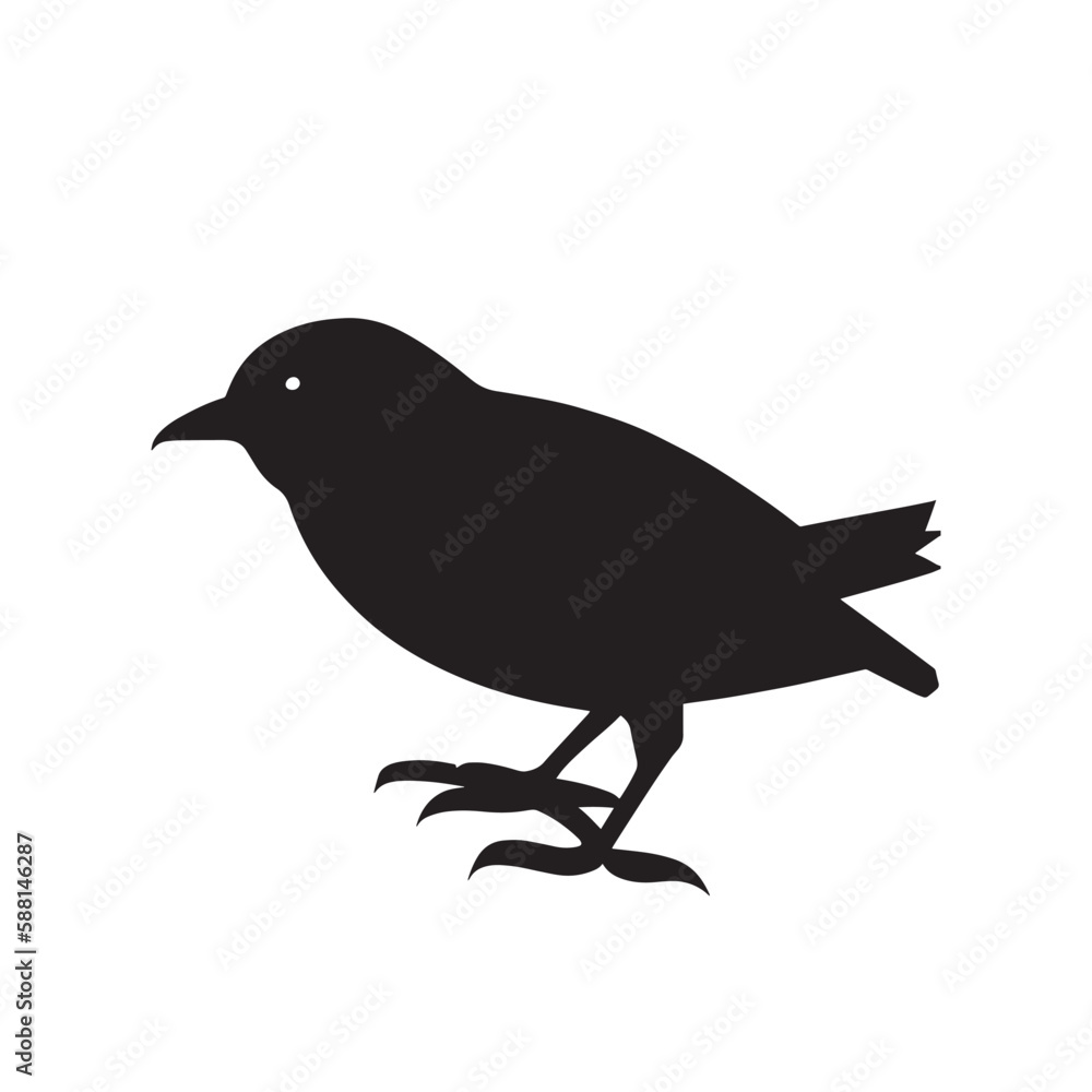 Obraz premium silhouette bird simple a look,pj