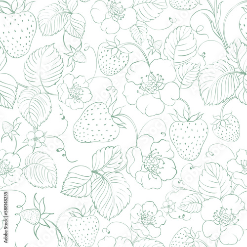 Strawberry seamless pattern. Vector botanic.