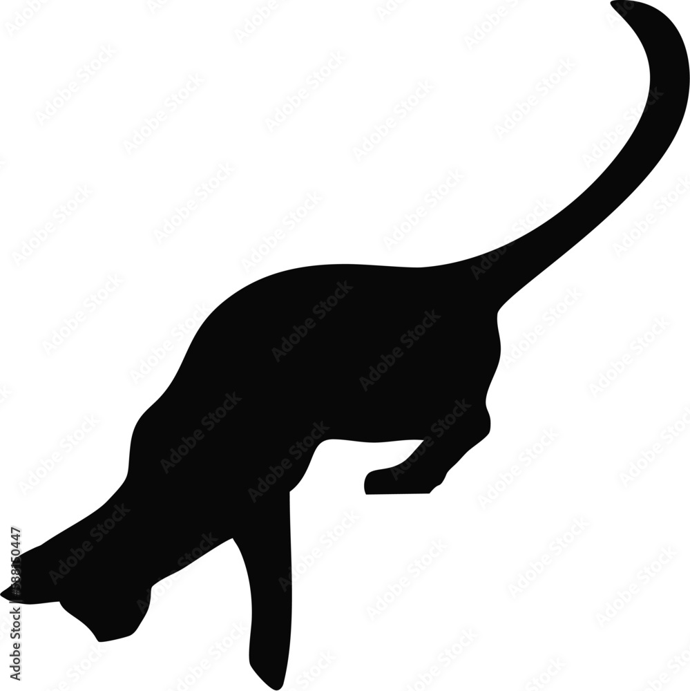 cat silhouette in vector, animal vector