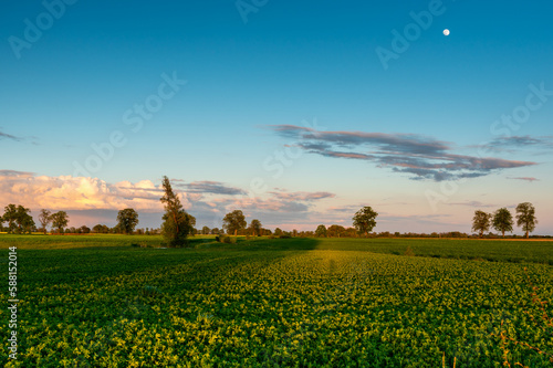Pole uprawne w świetle zachodzącego słońca / Farmland in the light of the setting sun