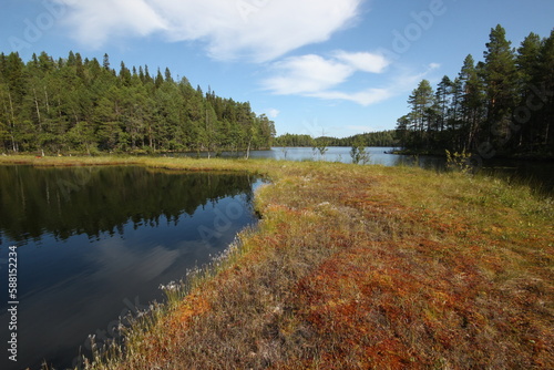 autumn landscape with lake