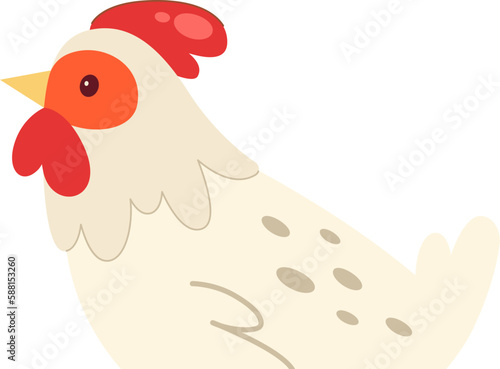 Chicken Domestic fowl