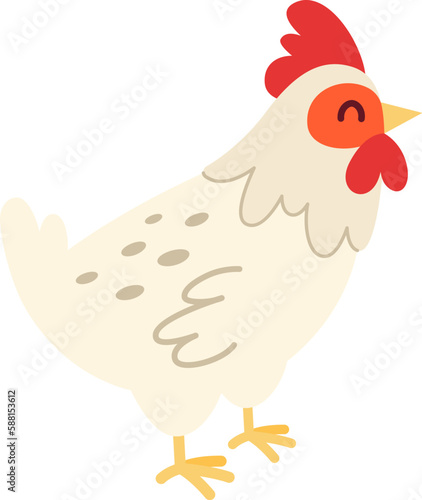 Chicken Domestic fowl