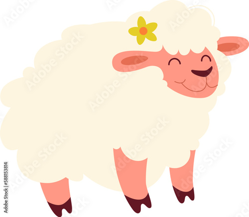 Sheep Domesticated animal
