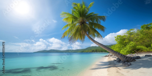 Beautiful tropical sandy beach landscape with palm tree