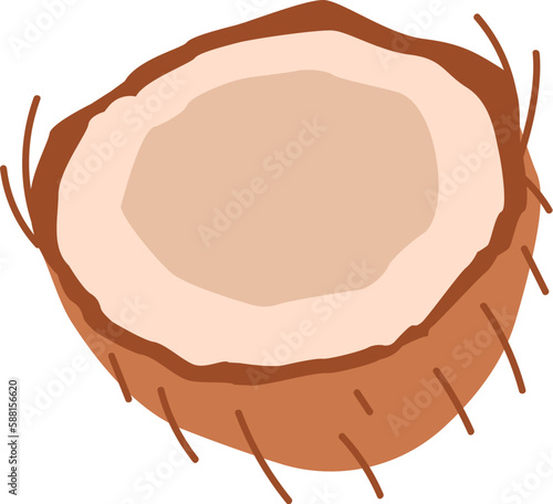 Coconut Shell Fruit