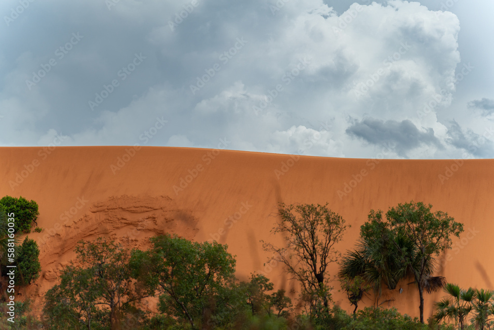 Majestic sand dune rising above lush jungle, under cloudy sky with vibrant colors.