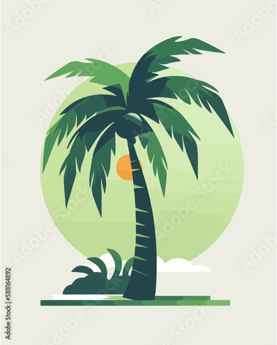 palm tree on the beach