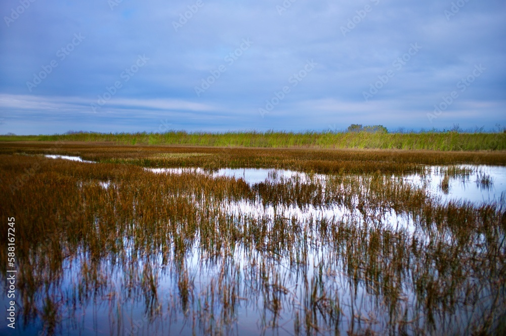 Wunderschöne Aufnahme in den Everglades Florida USA Wunderschöne Aufnahme in den Everglades Florida USA