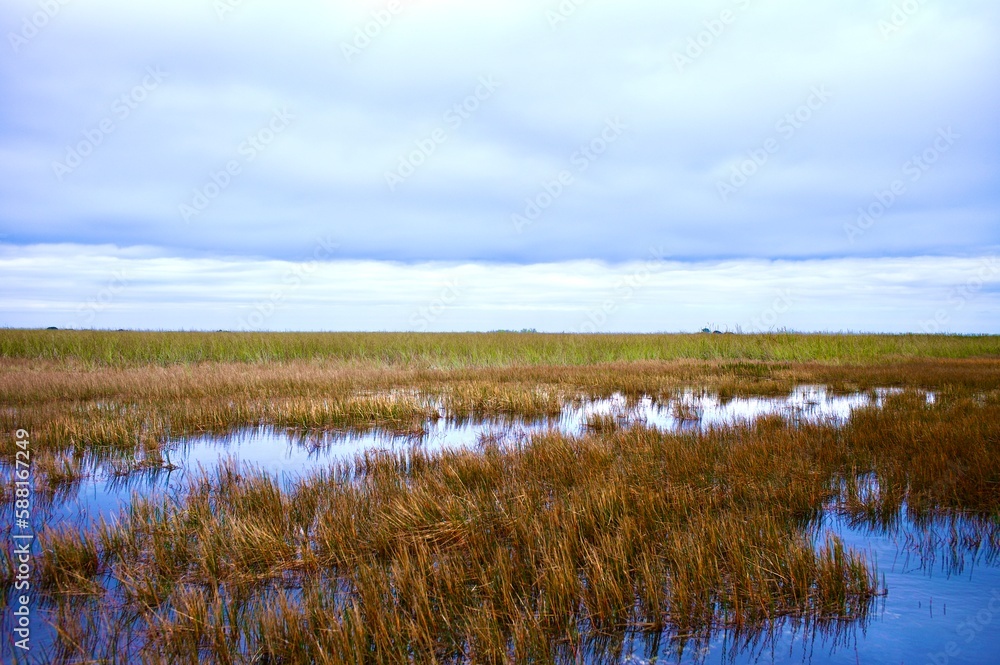 Wunderschöne Aufnahme in den Everglades Florida USA Wunderschöne Aufnahme in den Everglades Florida USA