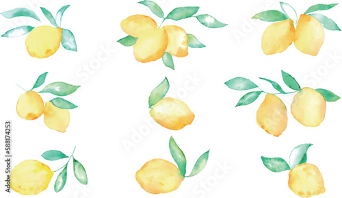                                                                                              Watercolor. Summer watercolor touch lemon vector illustration. Summer lemon illustration.