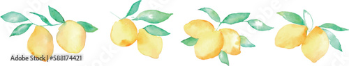 水彩画。夏の水彩タッチレモンベクターイラスト。夏のレモン挿絵。Watercolor. Summer watercolor touch lemon vector illustration. Summer lemon illustration.