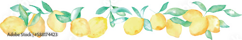 水彩画。夏の水彩タッチレモンベクターイラスト。夏のレモン装飾フレーム。Watercolor. Summer watercolor lemon vector illustration. Summer lemon decoration frame.