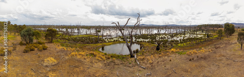 The vast landscape of the Winton Wetlands is a hauntingly beautiful forest made up of the hundreds of thousands of drowned trees