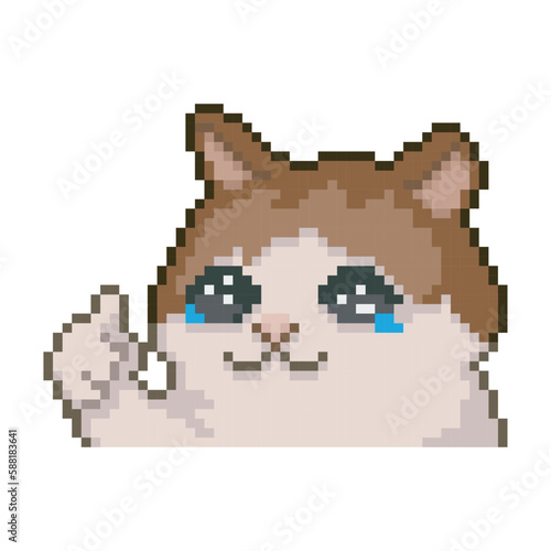 Cat with thumb up, pixel art meme photo