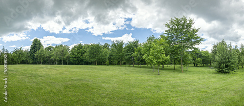 Fototapeta Naklejka Na Ścianę i Meble -  summer park scenery at cloudy day. panoramic view of green lawn and trees under cloudy sky.