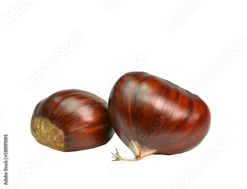 Tableau sur toile chestnut chestnuts chesnuts isolated for background autumn