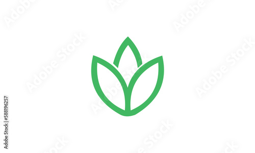 green leaf icon