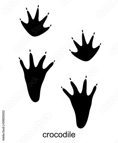 Crocodile track, crocodile foot print. Footprints reptile. Wild animal paw trace. Vector illustration isolated on white background