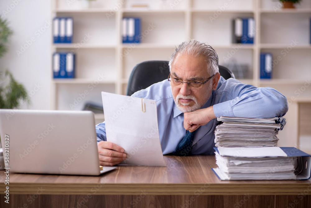 Old male employee working in the office Old male employee working in the office