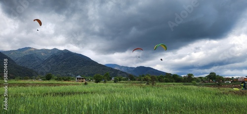 paragliding landing at Bir, HImachal Pradesh