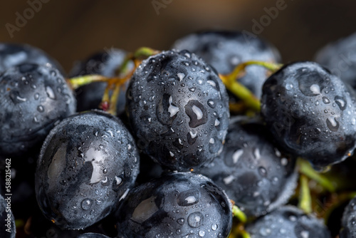 Fresh wet grapes of blue color