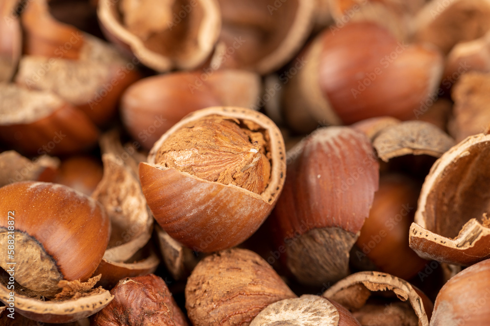 debris left after peeling the hazelnuts from the shell debris left after peeling the hazelnuts from the shell