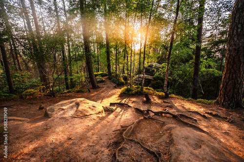 Cesky raj sandstone cliffs - Prachovske skaly in summer sunset, Czech Republic. Rock labyrinth is tourist attraction in Bohemian Paradise, Czech Republic photo