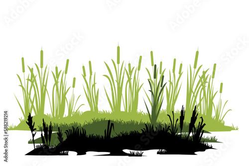 Swampy coast. Thickets of reeds. Swamp landscape. View of the river bank. Silhouette picture. Isolated on white background. Vector.