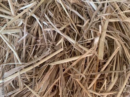 background of light brown straw