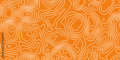 Pattern with lines and dots The stylized height of the topographic map contour in lines and contours isolated on transparent. Orange topography contour lines map isolated on white background.