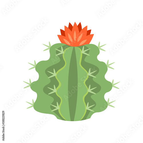 Cactus and succulent colorful cartoon vector illustration