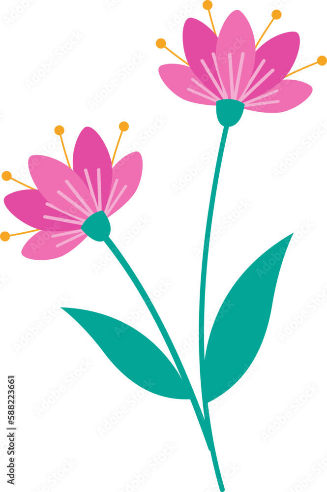 Flower Illustration Flower Illustration