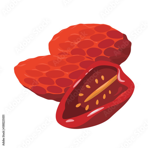 Vector illustration of dried tomato.