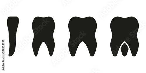 Types of Human Teeth Silhouette Icon. Incisor, Canine, Premolar, Molar Teeth Glyph Pictogram. Adult Tooth Anatomy. Dental Treatment Solid Sign. Dentistry Symbol. Isolated Vector Illustration