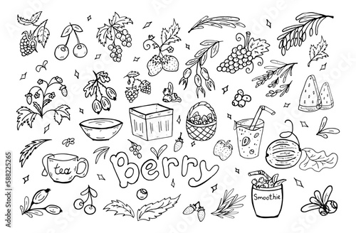 Set berries summer doodle. Vector illustration. Berry, leaves, baskets, smoothies, healthy food.